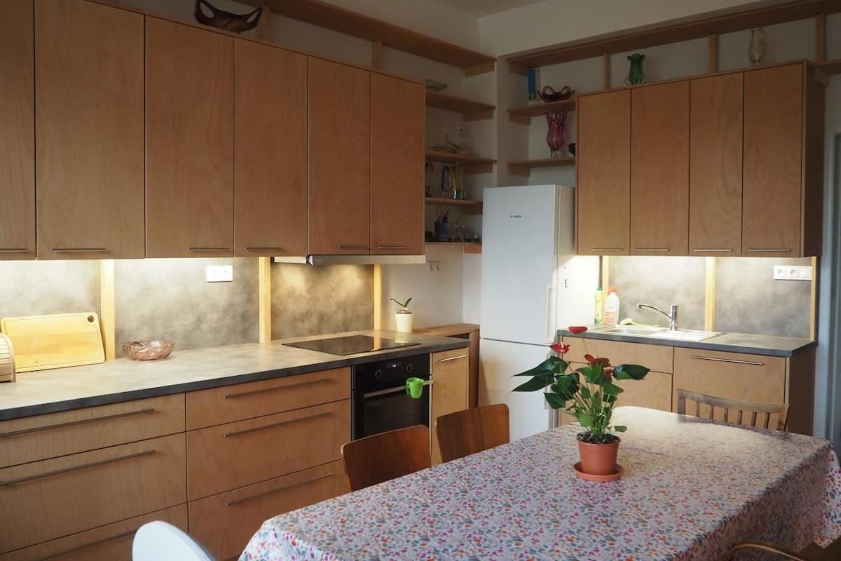 פראג Rodinny Apartman V Centru Prahy מראה חיצוני תמונה